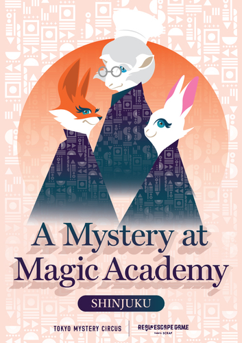 『A Mystery At Magic Academy』