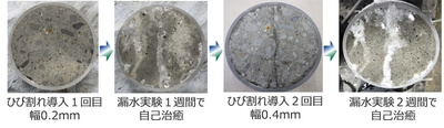 写真1:ひび割れの自己治癒状況