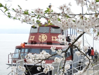 日本のさくら名所100選の「海津大崎」へのお花見クルーズを 4月1日(土)から4月16日(日)の期間限定で運航開始！