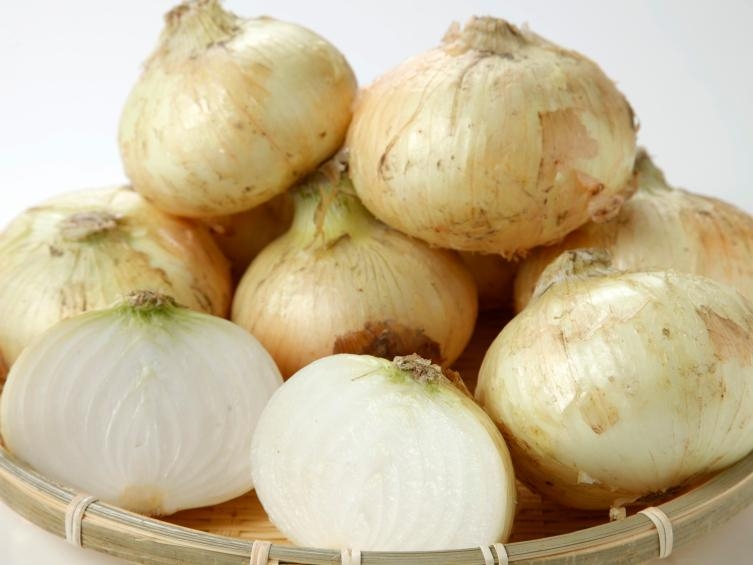 新玉ねぎ詰め放題