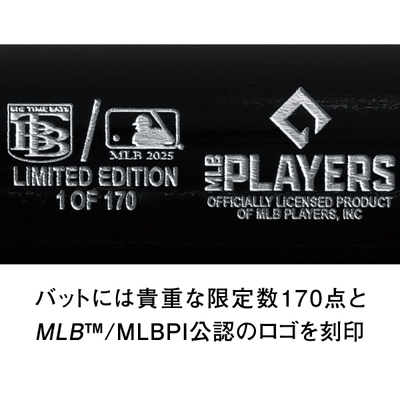 大谷サインバット説明