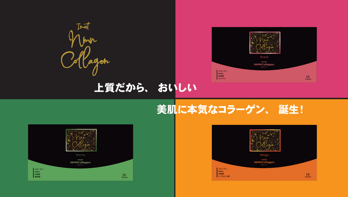 プロジェクト イメージ(1)