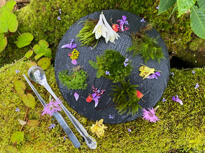 「コケテラリウム」制作ワークショップにて、使用する材料キットの一例です。園内の植物を使って小さな森の世界を作ることが出来ます。