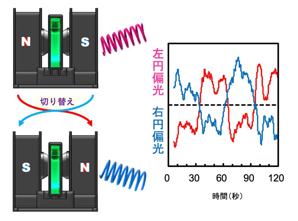 電磁石を用いた簡易的な方法で円偏光の回転方向の高速切替に成功 円偏光発光の高性能化の新たな道筋を開拓