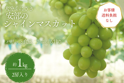 シャインマスカット（約１ｋｇ）