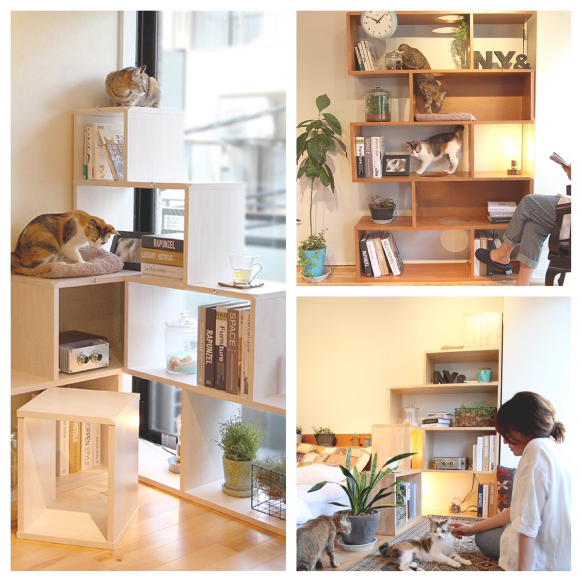 前作 NY& SHELFシリーズ2 キャットタワーにもなる本棚、飾り棚
