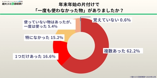 【500人調査】年末の片付けで「一度も使わなかった物」が続出　 6割以上が“未使用のまま眠らせていた物が複数あった”と回答