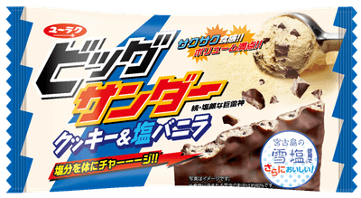 ビッグサンダークッキー&塩バニラ