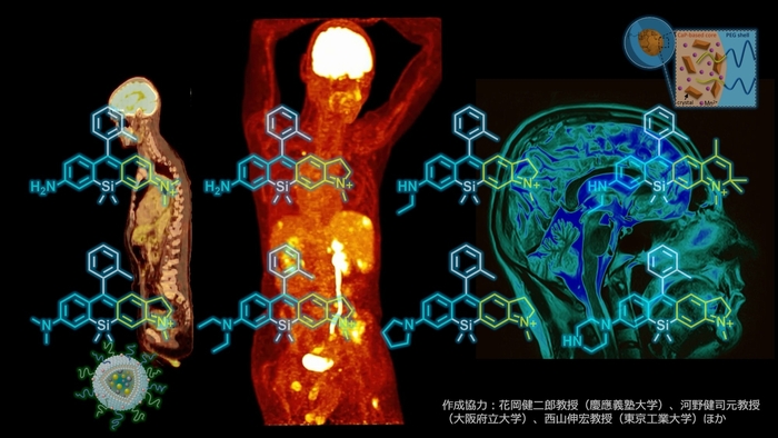 分子イメージングのイメージイラスト