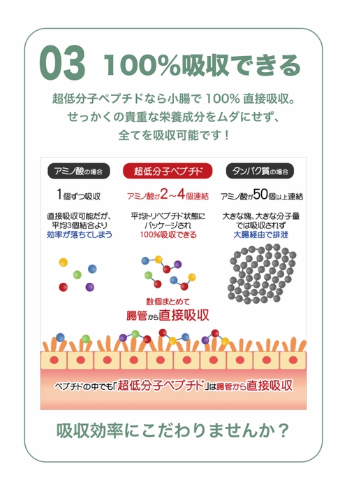 超低分子ペプチド3(100%吸収)