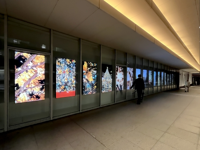 展示例：御茶ノ水ソラシティのクリスマス