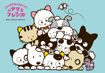 タマ&フレンズ~うちのタマ知りませんか?~