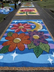 サスティナブルな復興アート。能登半島震災の復旧木材をチップに再生し、巨大な“花の路上絵”が完成！60名の市民が参加。