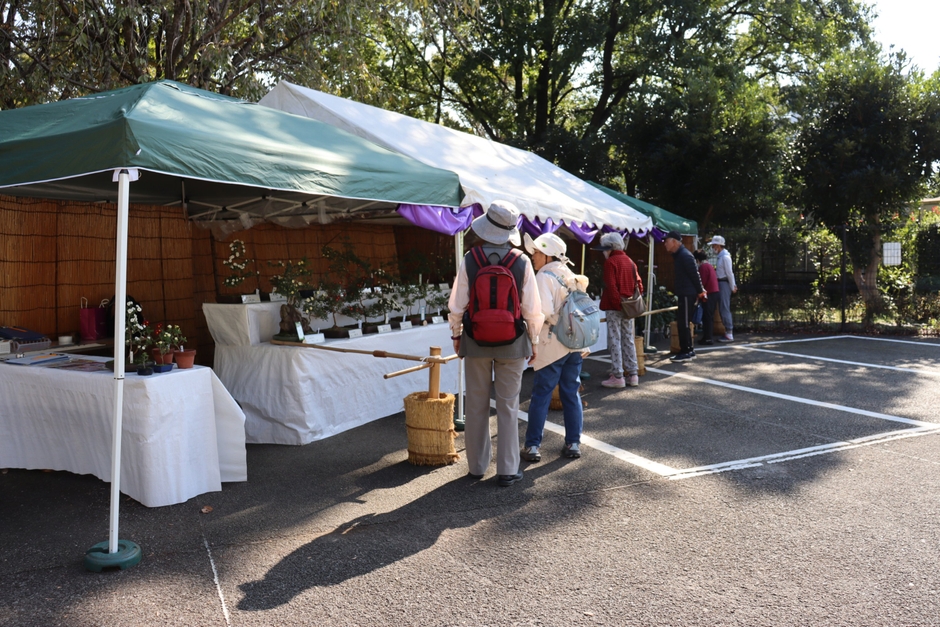 菊花展（昨年の様子）