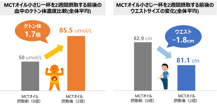 ケトン体に関する最新検証結果