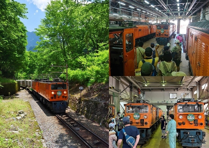 トロッコ電車と車庫見学会