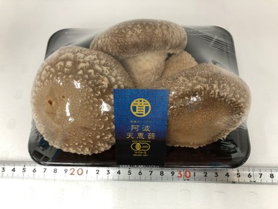 天恵コ