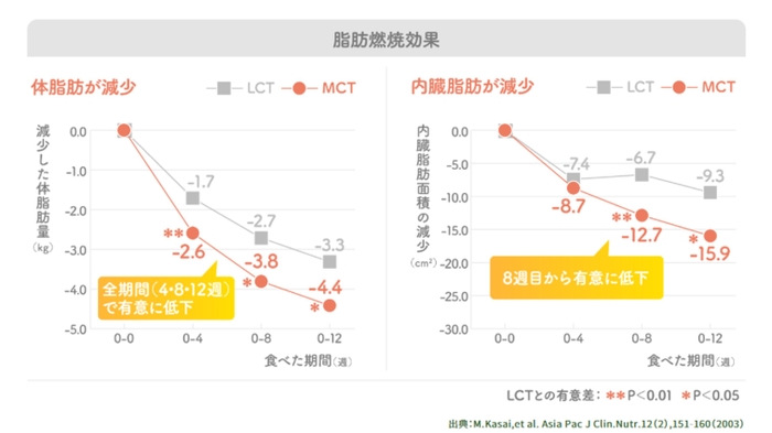 MCTの脂肪燃焼効果