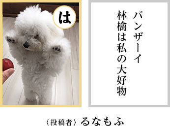 ワン!最優秀賞