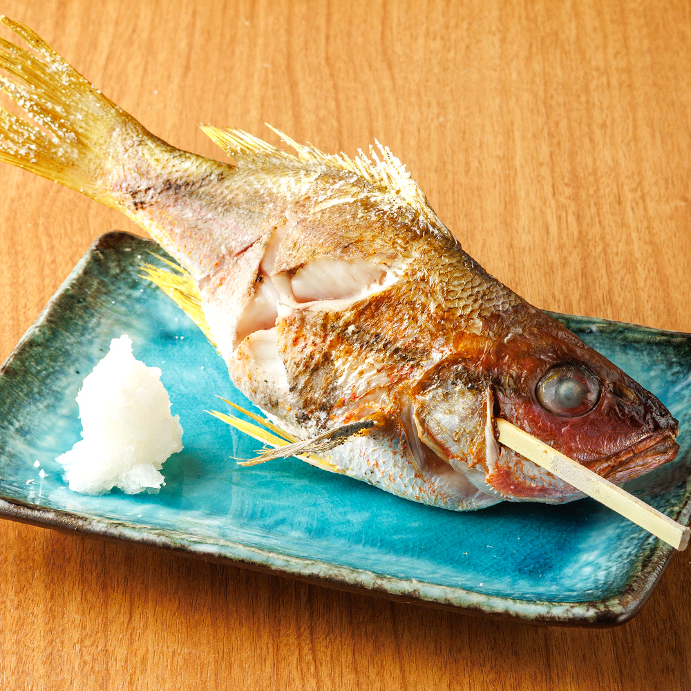 囲炉魚 3週連続 半額フェア開催！ 漁師直接買付鮮魚×炉端料理に YEBISU5種