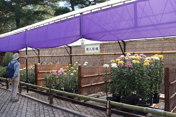 展示の様子（令和６年度撮影）