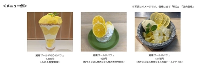 ～爽やかな香りと果汁がたまらない幻の柑橘～全農直営飲食店舗で「湘南ゴールドフェア」を３月２３日（月）～３月３１日（火）に開催