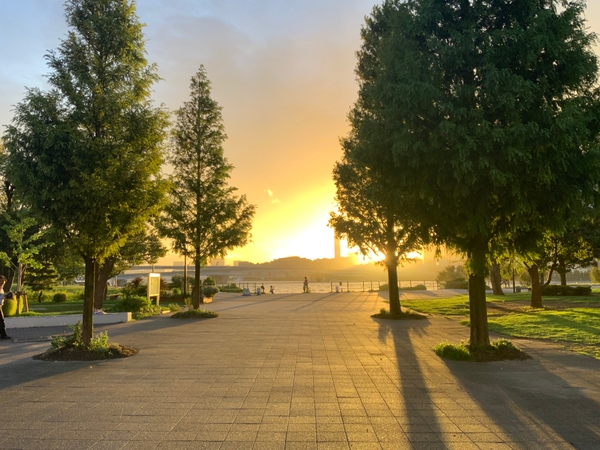 写真提供:豊洲パークマネジメントJV