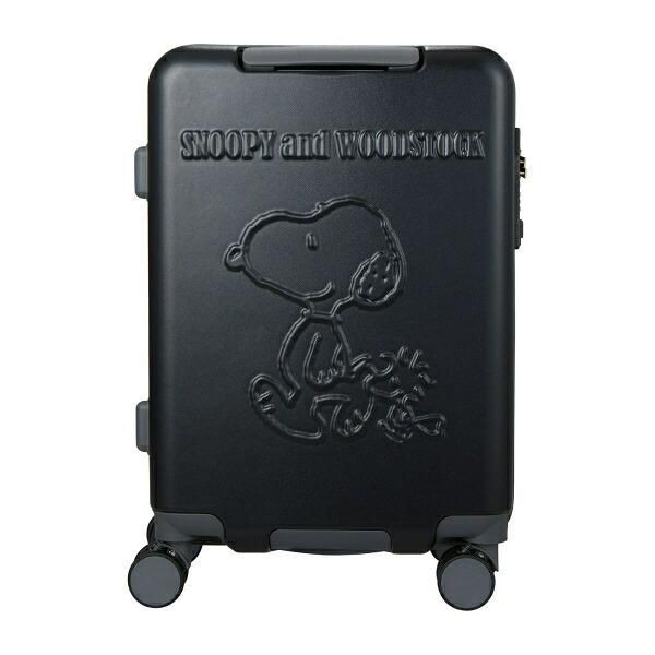 スヌーピーの個性的なスーツケースカバー2種