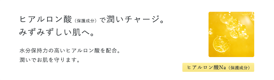 成分_ヒアルロン酸