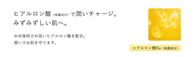 成分_ヒアルロン酸