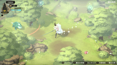 フィールド_森