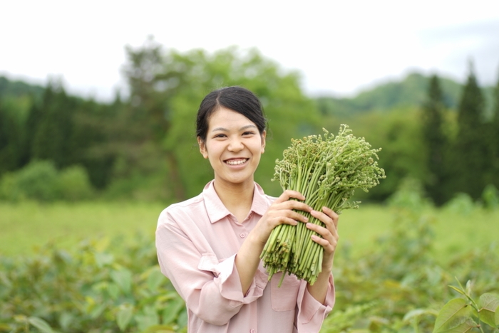 わらび収穫可能量は2kg／人