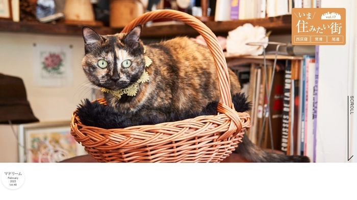 「マドリーム」Vol.48:いま住みたい街