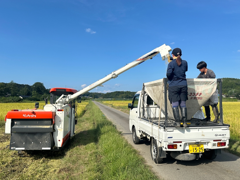 【お米の収穫】