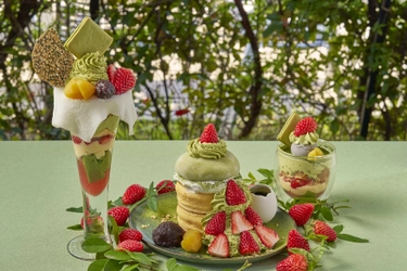 たまご専門店TAMAGOYA抹茶フェアスタート！ 地元丹那の抹茶を使用したパンケーキやパフェが勢ぞろい