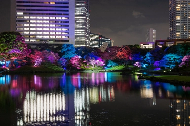 【旧芝離宮恩賜庭園】ライトアップイベント「旧芝離宮夜会～かぜひかる～」5/24～27 開催