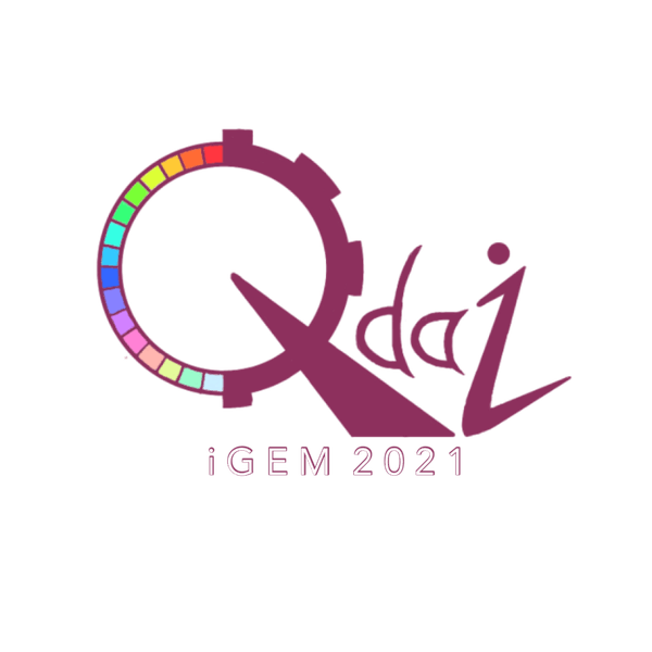 ●iGEM Qdaiロゴ