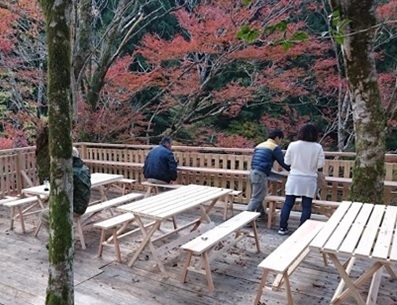 瀬戸川ツリーテラス_画像2