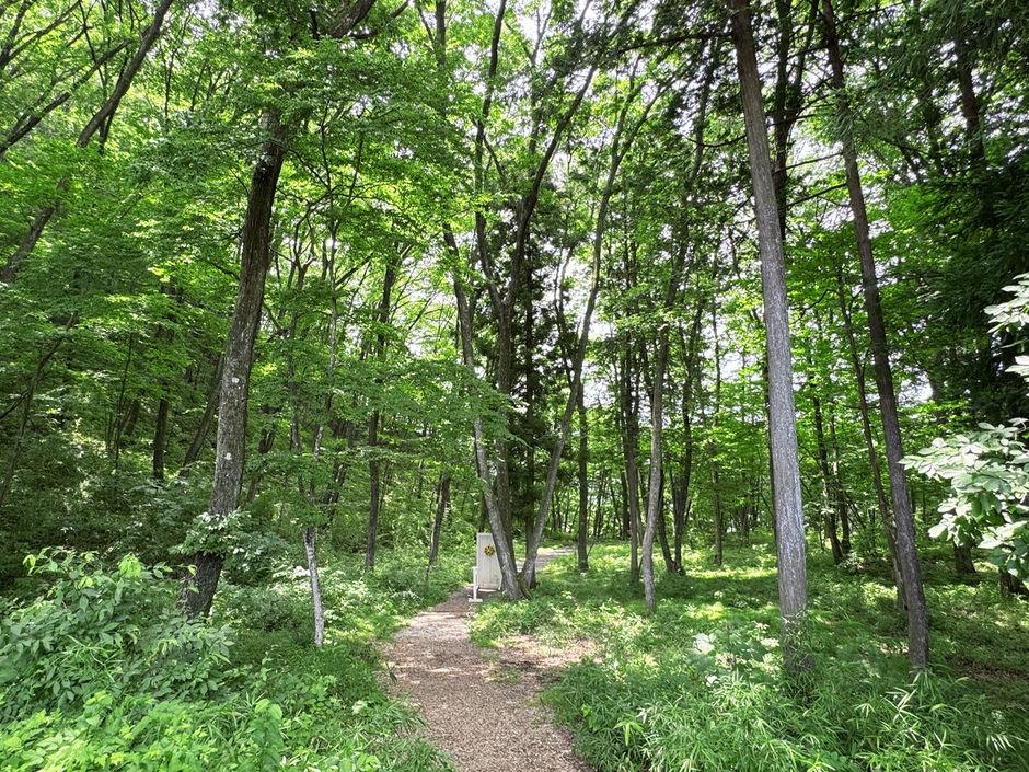 “涼しくて快適な夏”を手軽に