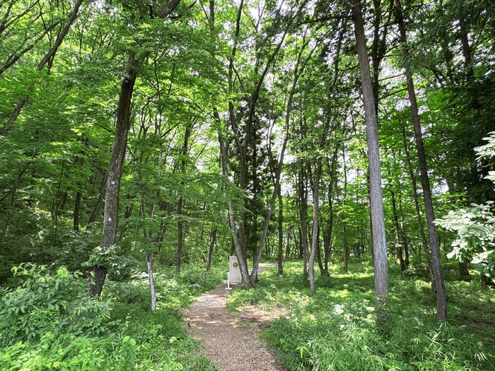 “涼しくて快適な夏”を手軽に