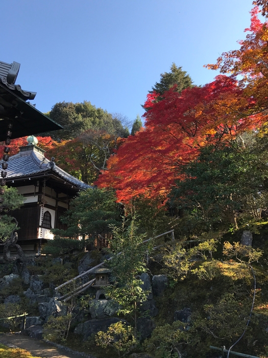 霊鑑寺庭園2