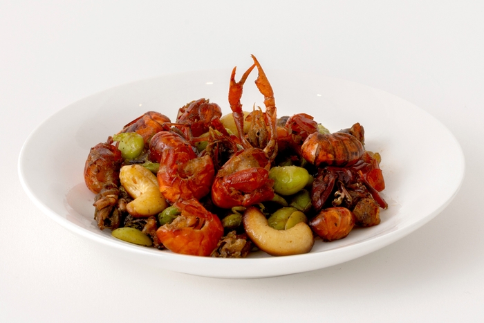 ガーリンクザリンプ(さかな芸人ハットリ)