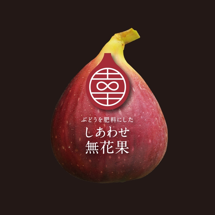 通販で1シーズンに8回もリピート購入する方まで!当園自慢の循環型ブランドいちじく「ぶどうを肥料にした しあわせ無花果」。今回のクラウドファンディング返礼品にも。