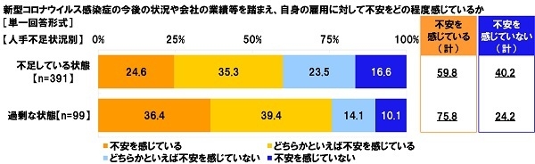 新型コロナウイルス感染症の今後の状況や会社の業績等を踏まえ、自身の雇用に対して不安をどの程度感じているか【人手不足状況別】