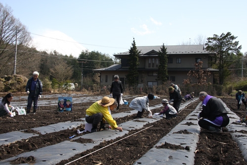 富士山の麓で農業体験!