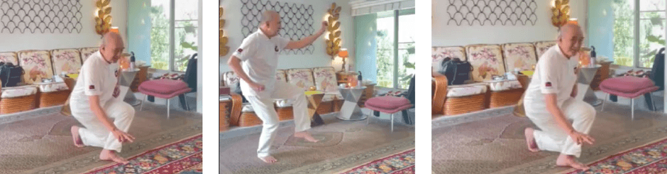 南 俊夫実演写真