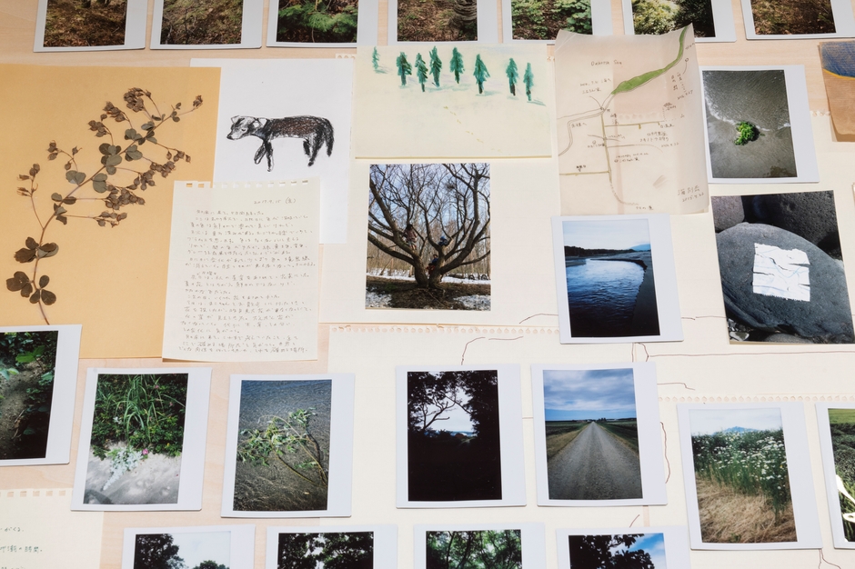知床:地図と落書きと言葉とほかの資料 Shiretoko: maps, doodles, words and other materials 2015-2021