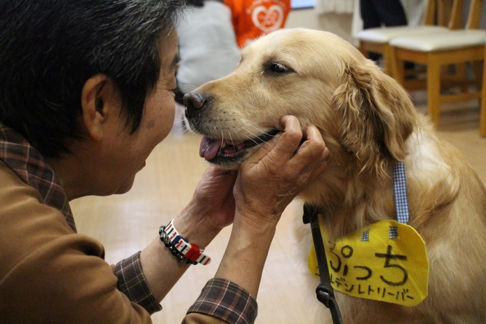 犬は朝になれば起こしに来る