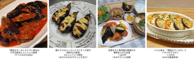 ～４月１７日は「なすび記念日」！～
全農直営飲食店舗で「冬春なすフェア」を
４月１６日（木）～４月３０日（木）まで開催