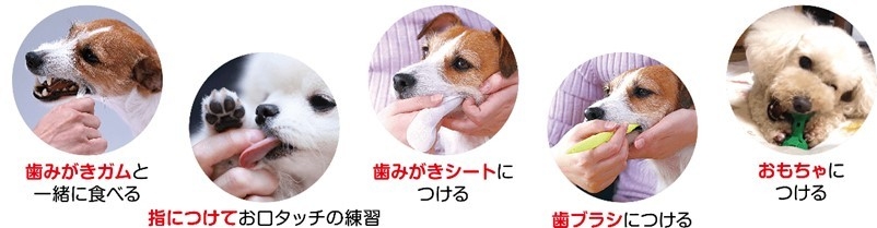 歯みがきジェルの使い方